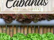 mano CABAÑAS Vertical Gardens: huerto vertical, cultivo ideal?