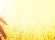 Actividades campestres cerca Madrid