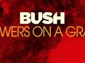 Bush Flowers grave (2020)