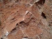 Yeso Sierra Norte Guadalajara