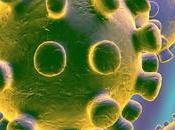 AUMENTA DEFENSAS ante CORONAVIRUS DIETA