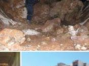 Nuevas especies dipluros subterráneos Islas Canarias