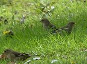 Unos van, otros llegan