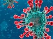 Ilgalac ante pandemia coronavirus efectos nuestra región