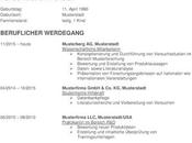 Kostenlos Lebenslauf Erstellen Diese Können Alle Vorlagen Ihre Beste Konzepte Verwenden