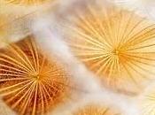 ¿Podría verano poner COVID-19? Humedad temperatura( investigación)