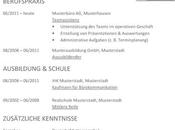 Lebenslauf Word Können Auch Alle Vorlagen Ihre Professionell Prinzipien Anpassen