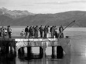 Pescando sulas…