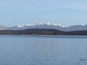 Palencia, tierra pajareo. piquituertos