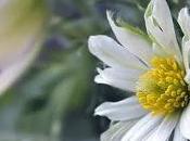 Inteligencia competitiva caos como orden disfrazado anarquía( min.)