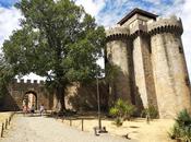 Castillos Fortalezas España (VI)