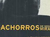 Cachorros negro mirar