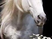 ocupar mente naturaleza