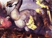 dodo, icono extinción antropogénica