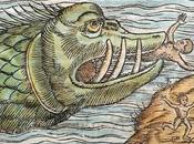 sunt dracones