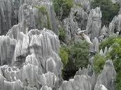 Bosque Piedra Kunming