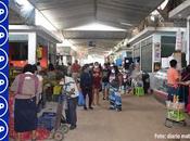 Cañete: TODAVÍA GENTE IRRESPONSABLE CALLES...