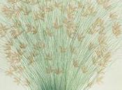 Feliz Libro Irene Vallejo, Augusto Monterroso Luís Sepúlveda