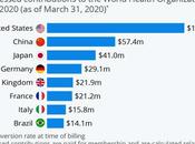 ¿Cómo financia Organización Mundial Salud?