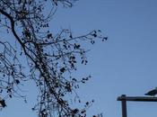 Barcelona (Diagonal): espera