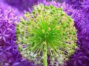 caótico genera caos emociones supeditan todo (reflexión)