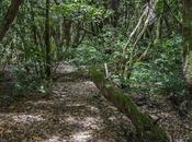 Sendero Sentidos Parque Rural Anaga Tenerife