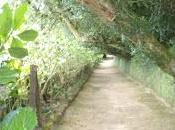 Despertar instinto intuición, confianza