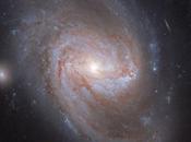 impresionante simetría galaxia 3583