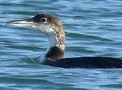 tiempo para despedida