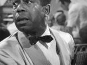 Metrópolis blue parrot