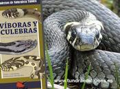 NOVEDAD EDITORIAL: Víboras culebras