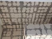 cambiado trabajo construcción Covid, según empresa Domho