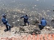 Invitan trabajadores caem mantener limpios sistemas drenaje evitando tirar basura canales calles