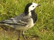 Buscando ganas regreso normalidad