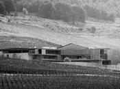 bodega Pago Carraovejas aúna innovación tradición gracias ciberseguridad Next-gen Sophos