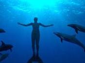 "THE COVE" Oscar Mejor Documental