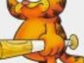 dónde gatos cuando salen casa?