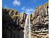 Anatomía: cristalino