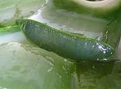 aloe para insolación