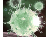 Gestión Emociones Negativas durante Aislamiento