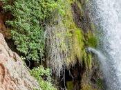 Visitar Monasterio Piedra, plan semana naturaleza