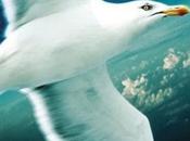 Juan Salvador Gaviota (Jonathan Livingston Seagull)
