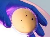 nuevo software reducirá infecciones hospitalarias