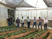 Supervisa sedagro proyectos agrícolas subsidiados gobierno estatal