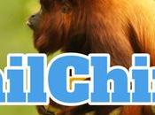 Mailchimp