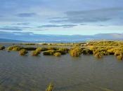 Desde Calafate hasta Glaciar Perito Moreno, recorrido ensueño