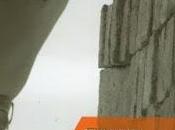 Selva Almada. "Ladrilleros"