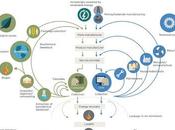 Nuevos MODELOS NEGOCIO Economía Circular