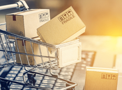 Importancia Sitio Para Comercio Electrónico