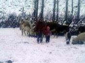 Mallín Álamos tapado nieve